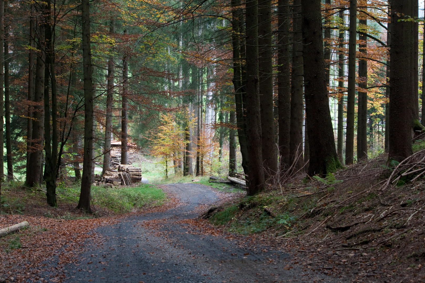 Waldweg