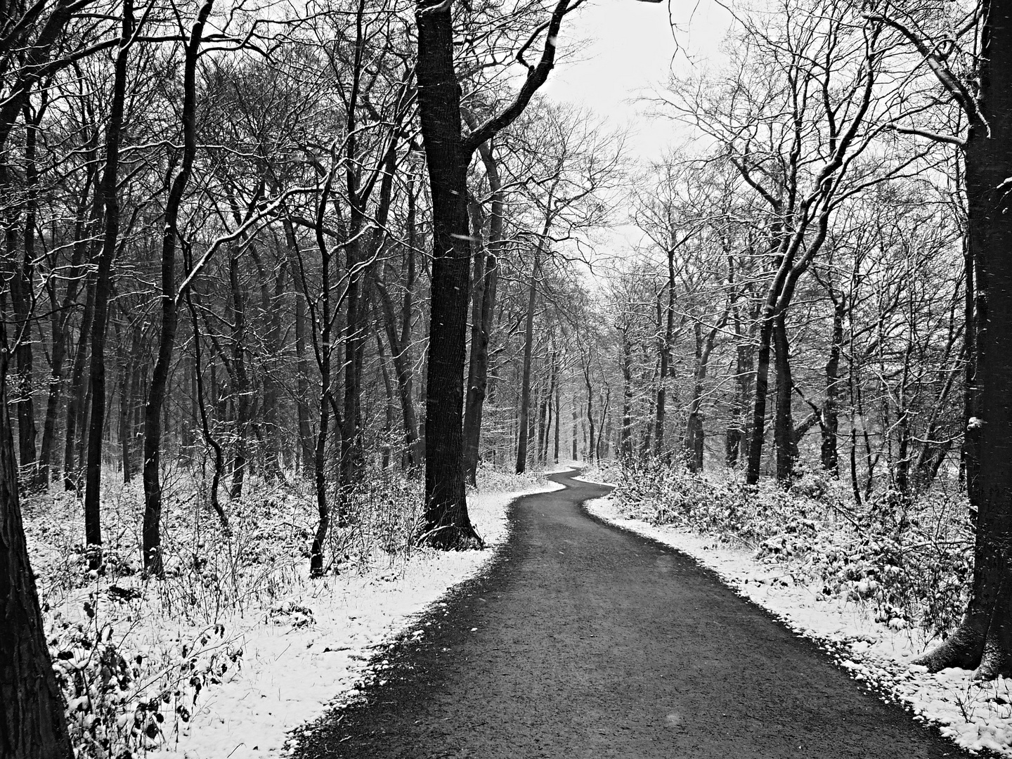 Waldweg