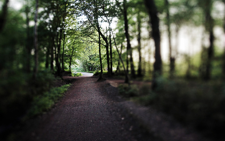 Waldweg