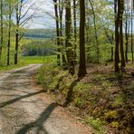 Waldweg (camino forestal)