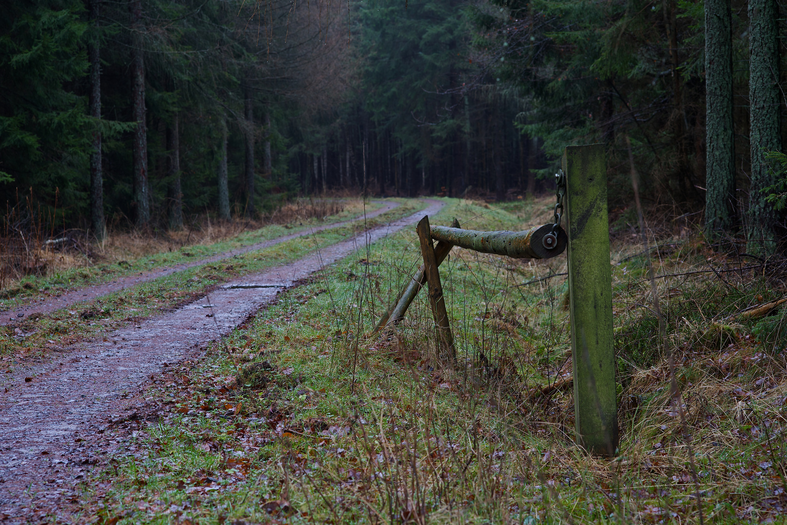 Waldweg