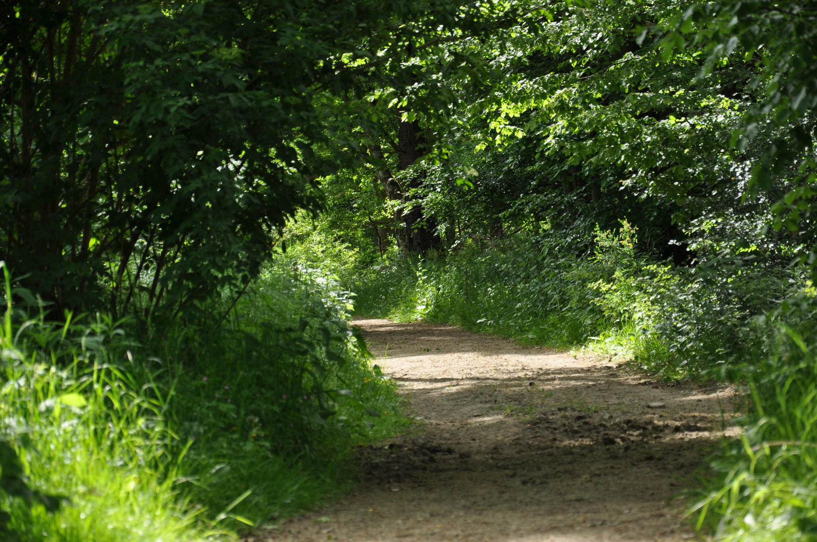 Waldweg