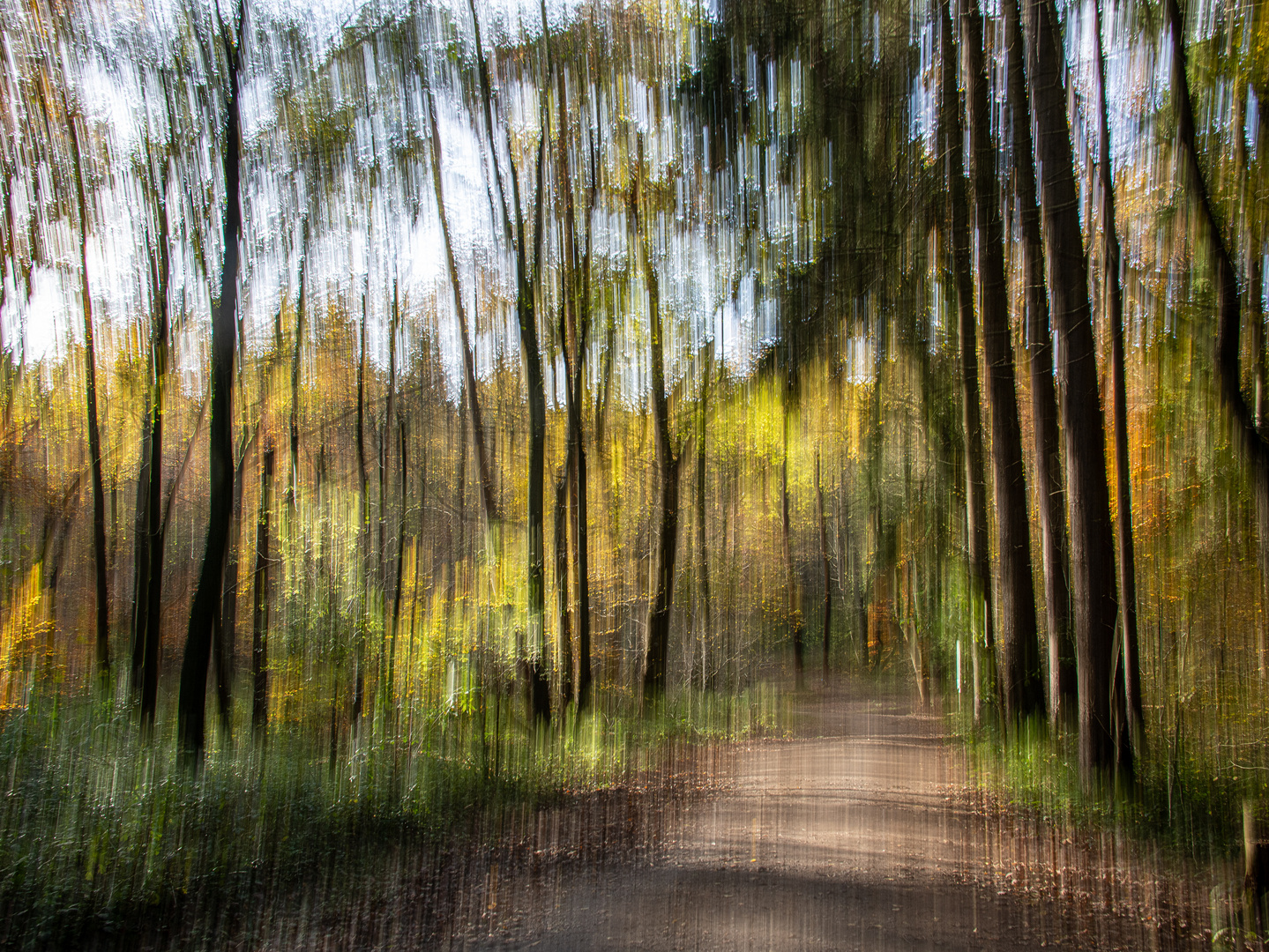 Waldweg