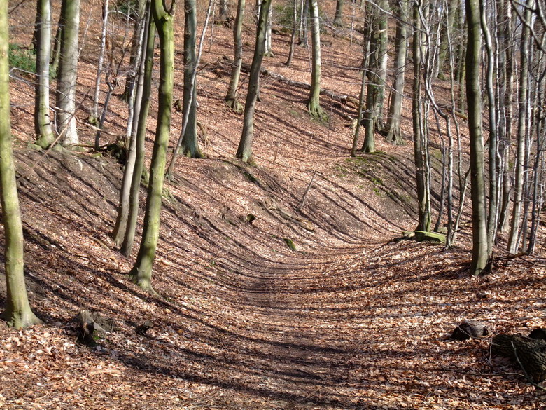 Waldweg