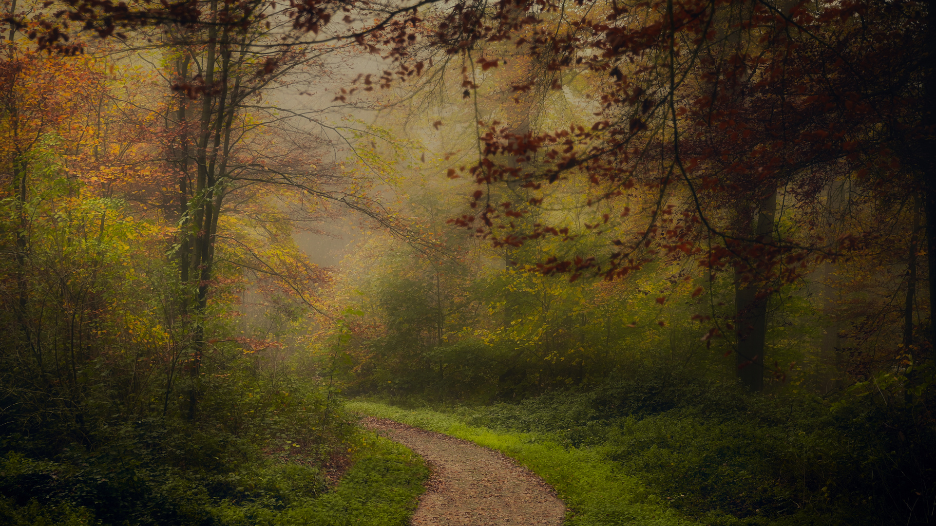 Waldweg