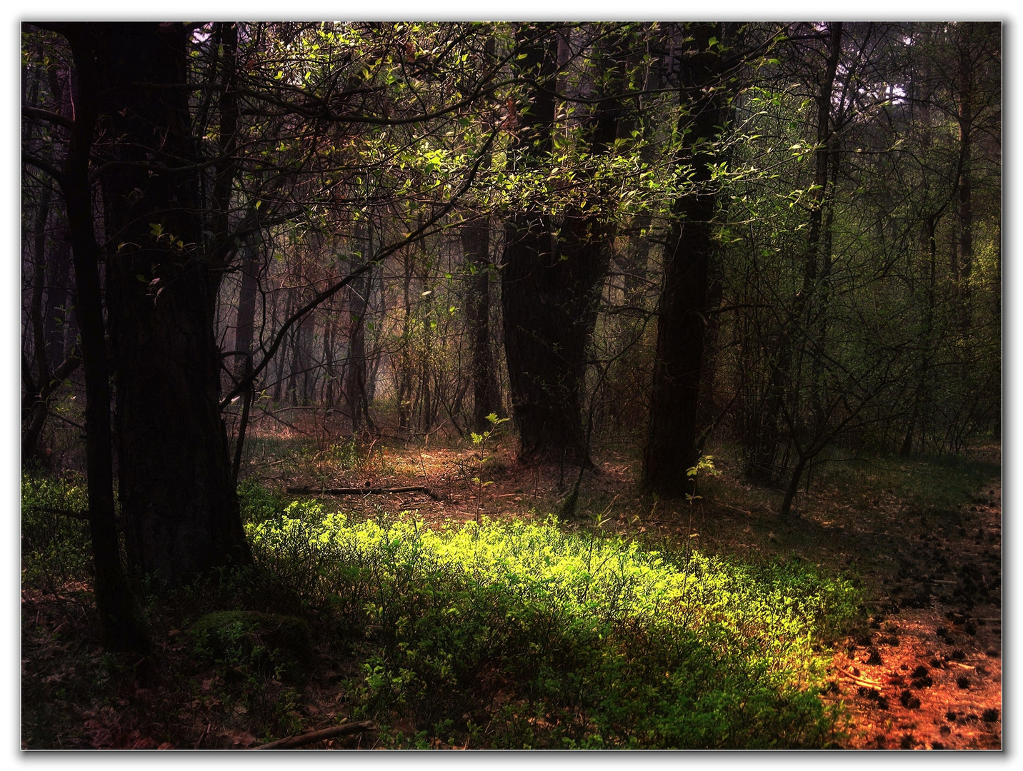 Waldweg