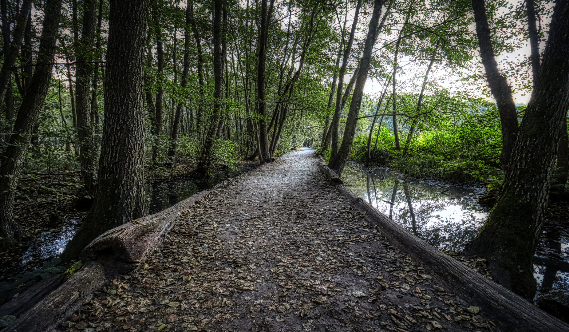 Waldweg 