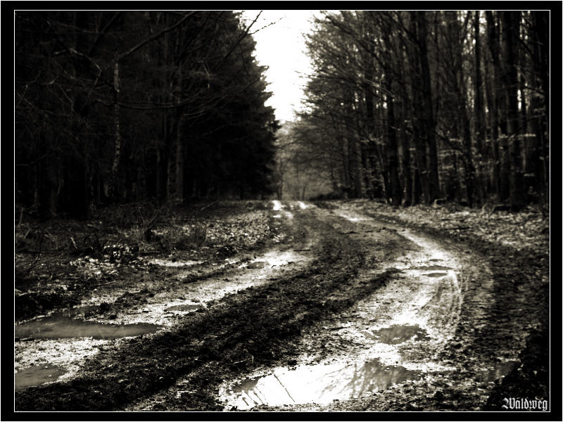 Waldweg