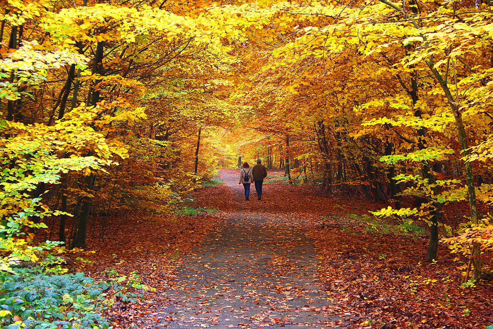 Waldweg