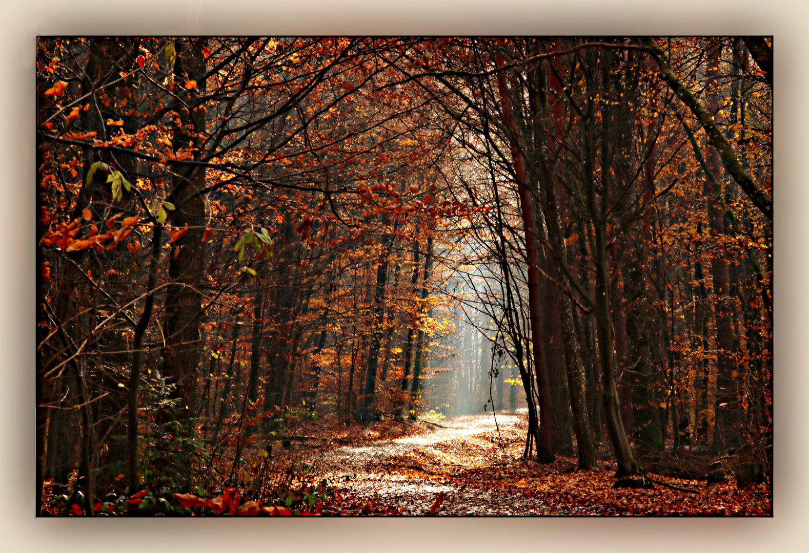 Waldweg