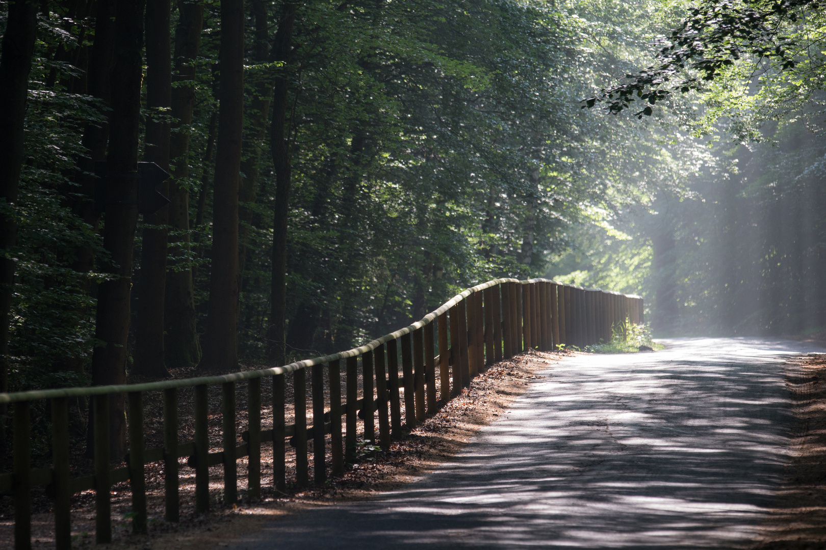 Waldweg Foto & Bild landschaft, wald, zaun Bilder auf