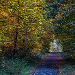 Waldweg