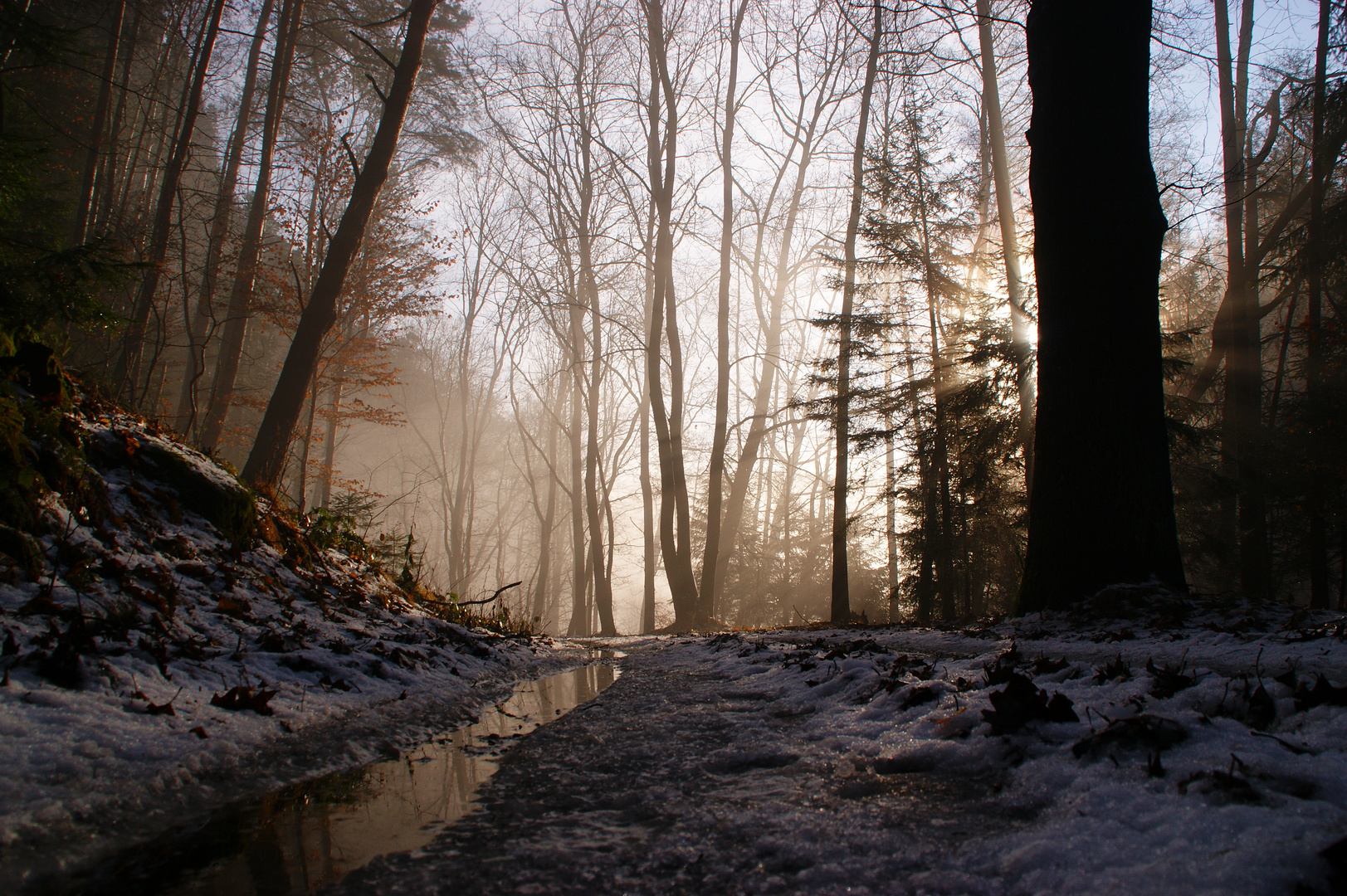 Waldweg