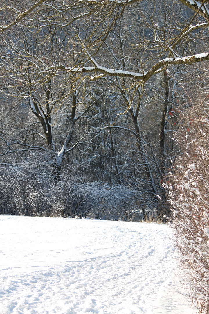 Waldweg