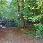 Waldweg