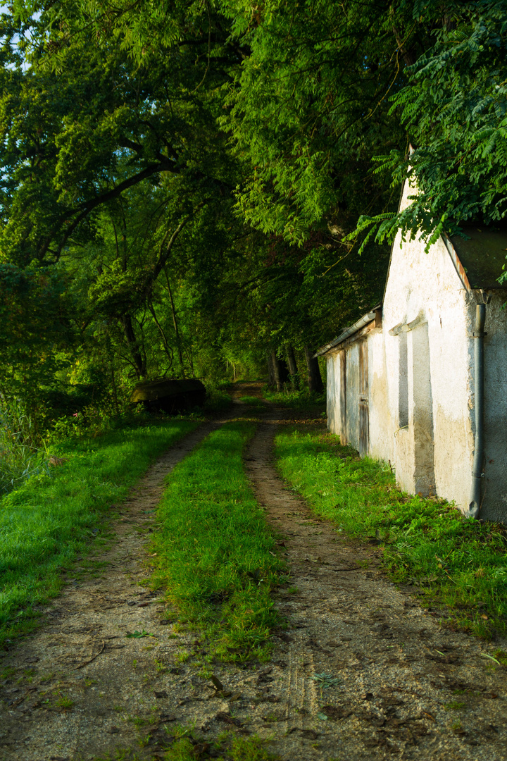 Waldweg