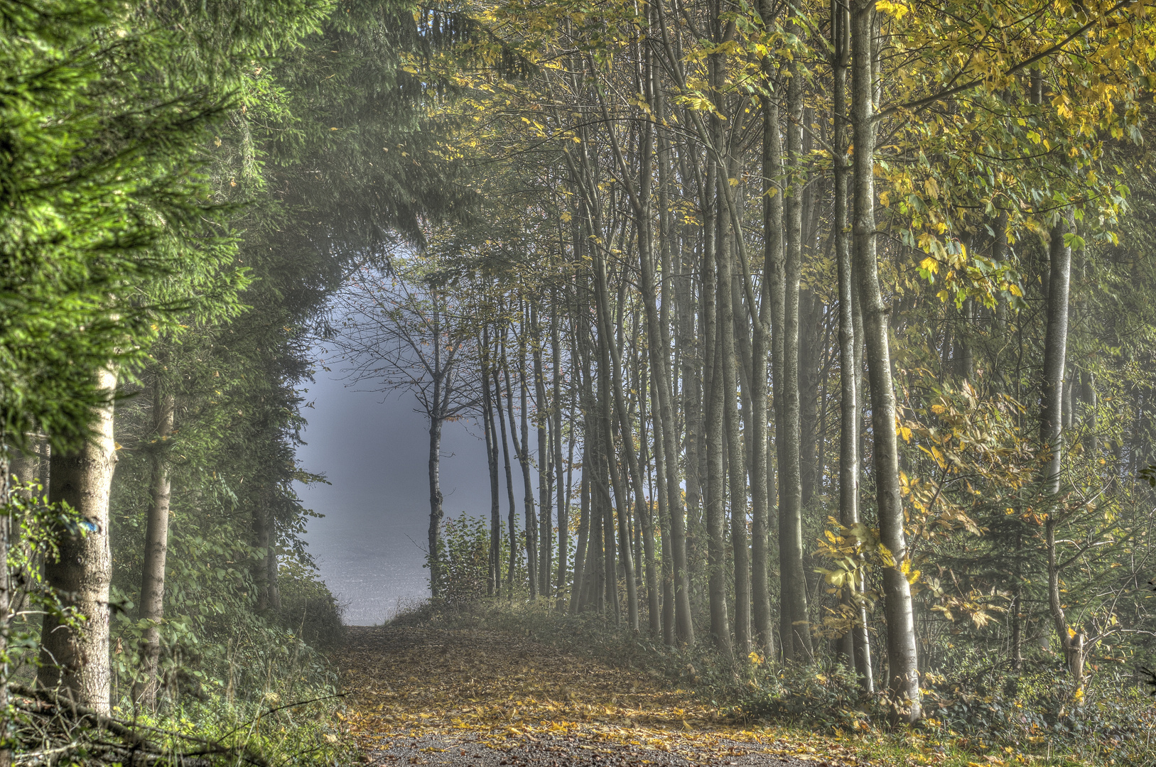 Waldweg