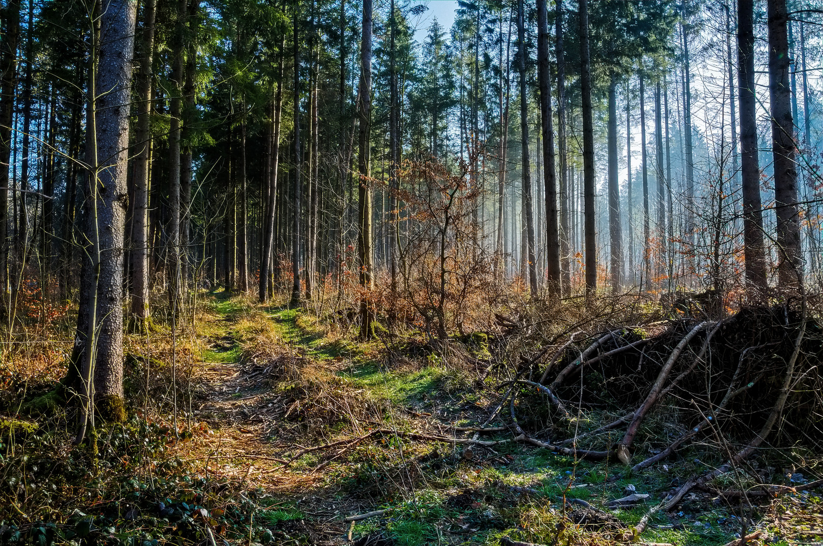 Waldweg