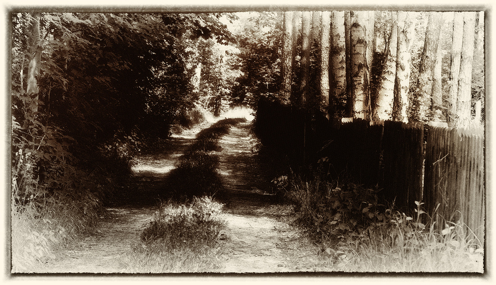 Waldweg