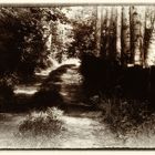 Waldweg