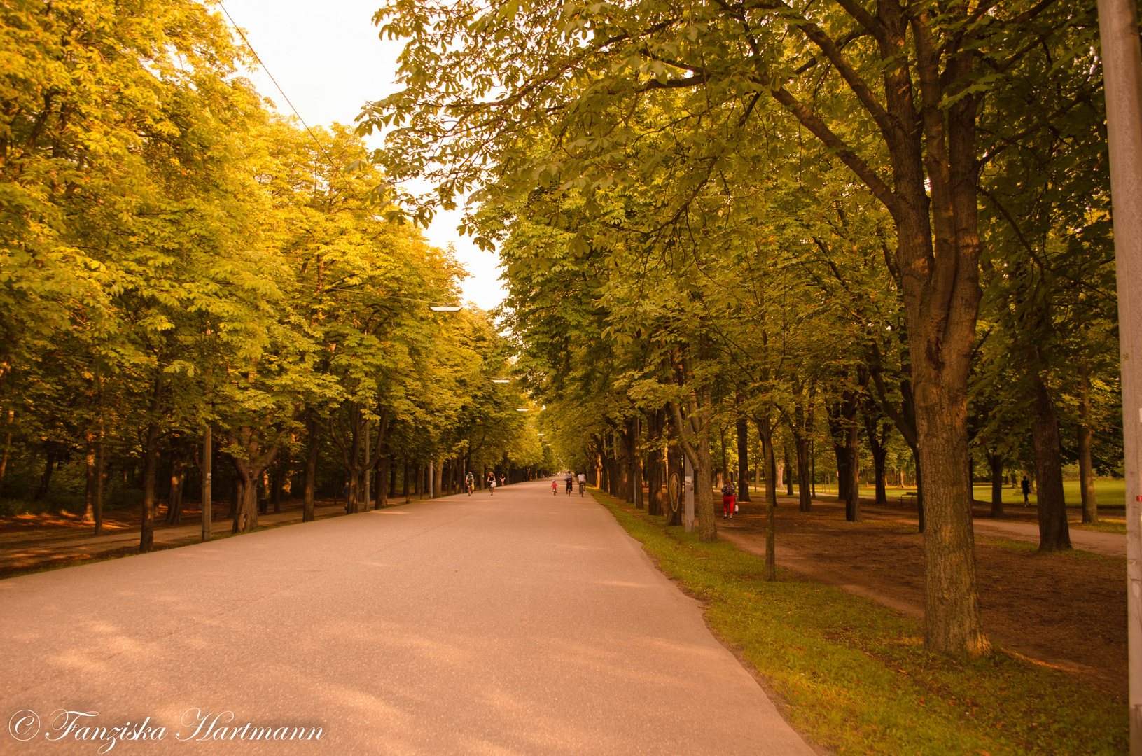 Waldweg