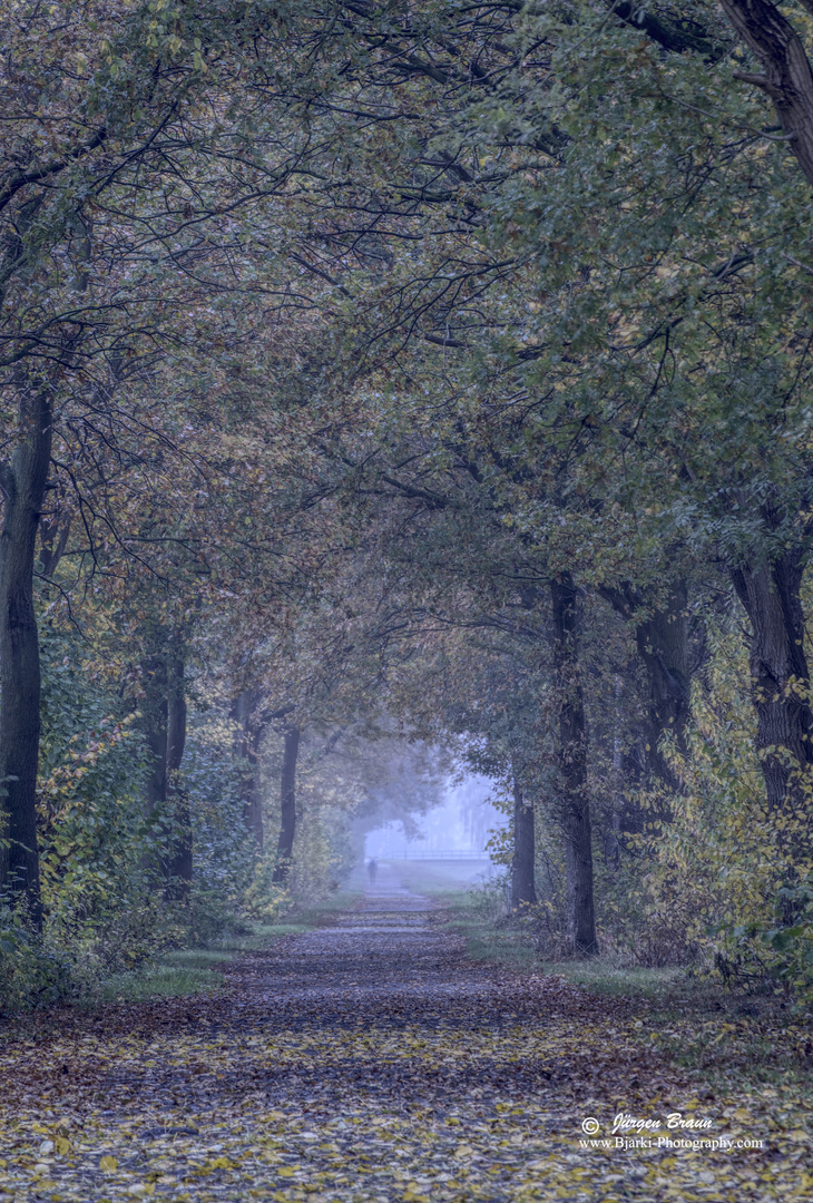 Waldweg Gemälde