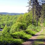 Waldweg im HellertaI