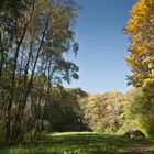 Waldweg im Herbst