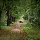 Waldweg im Herbst