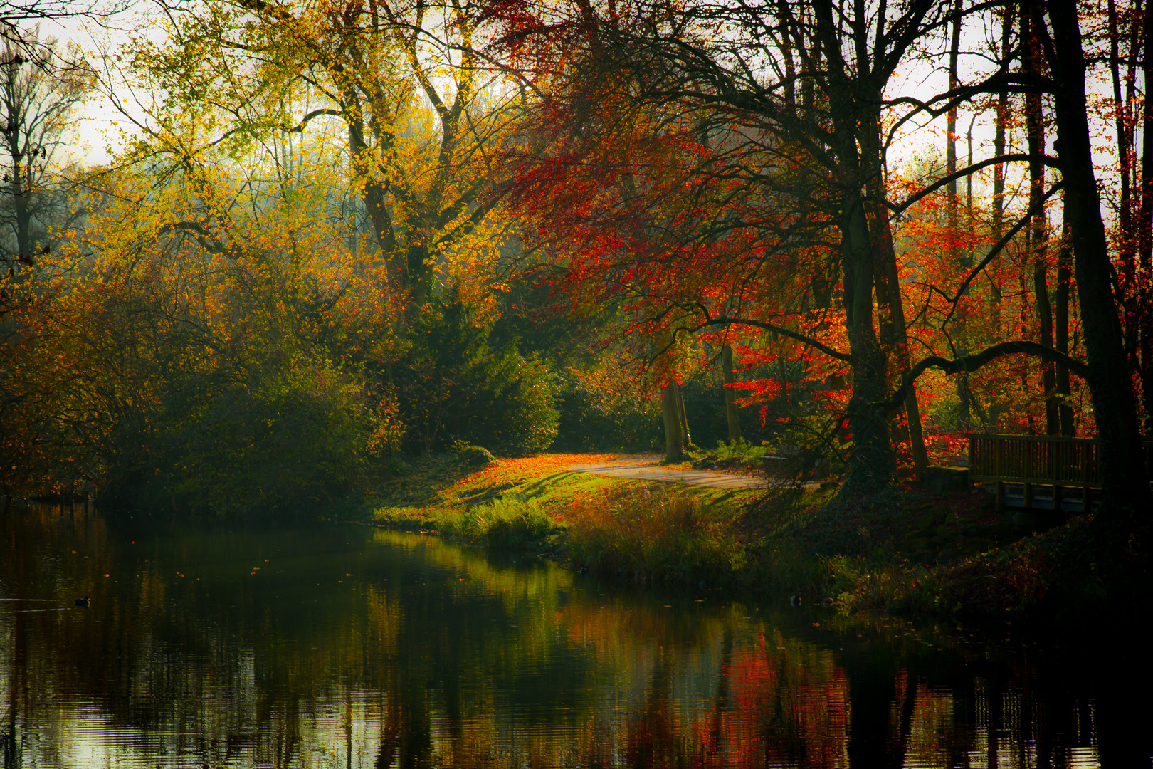 Waldweg im Herbst