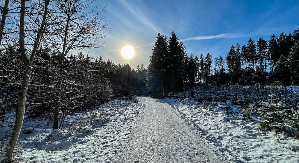 Waldweg im Schnee