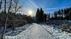 Waldweg im Schnee