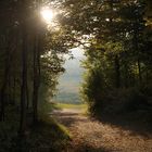 Waldweg in der Fränkischen Schweiz