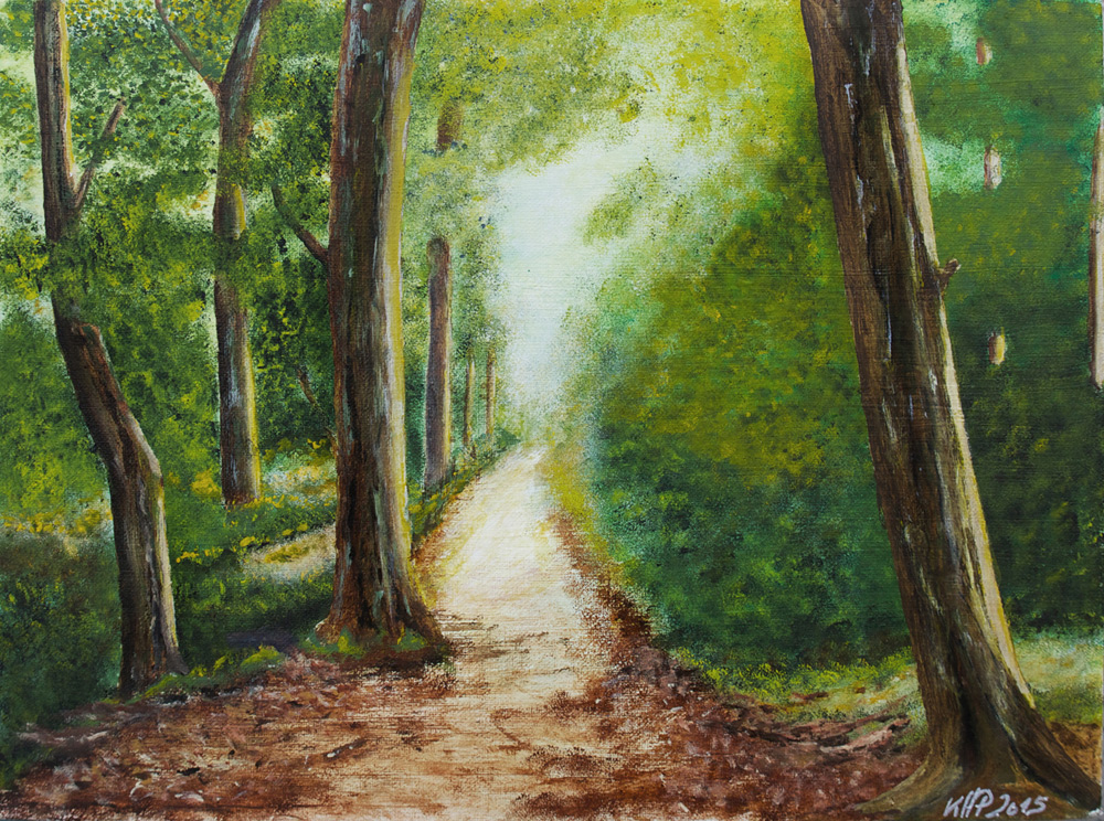 Waldweg in die Sonne