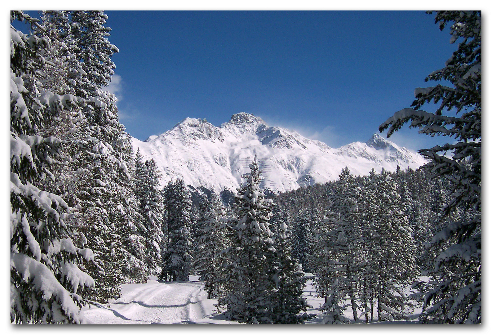 WALDWEG IN ST. MORITZ