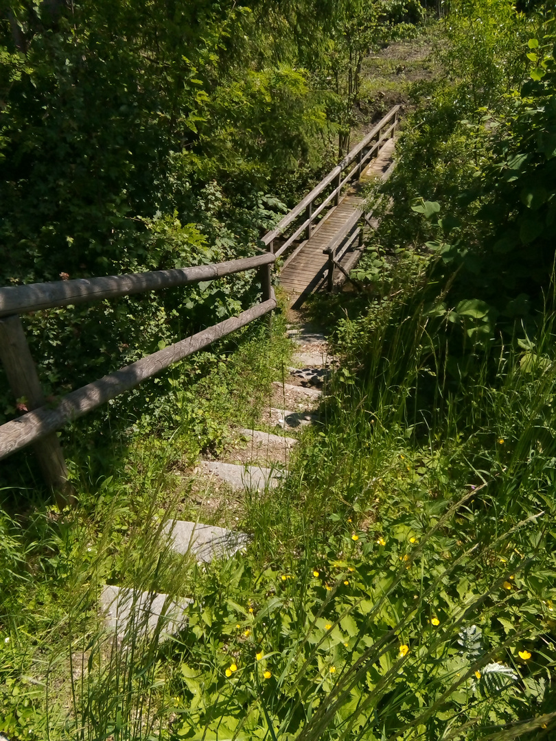 Waldweg mit Brücke