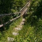Waldweg mit Brücke