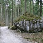 Waldweg mit Felsen