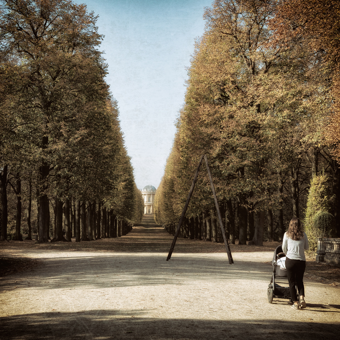 Waldweg mit Leiter