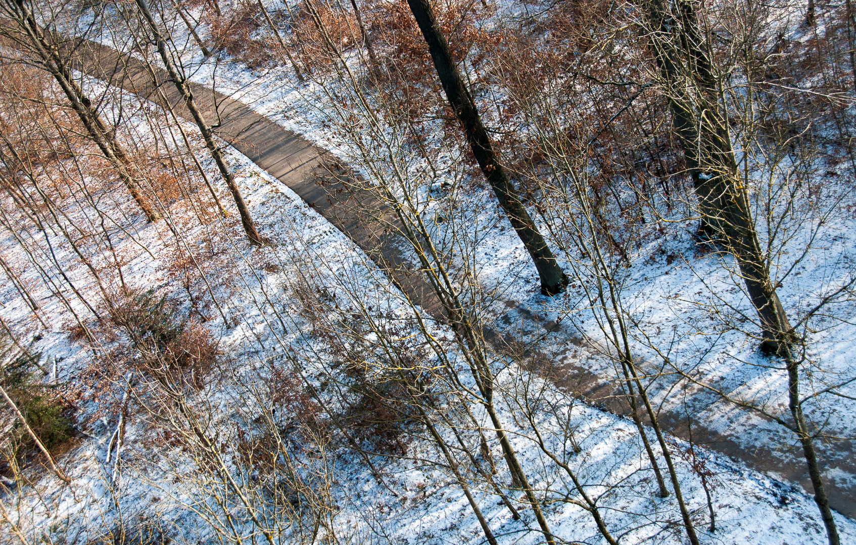 Waldweg - mit Schwung ins Neue Jahr