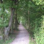 Waldweg-mitten in schweden