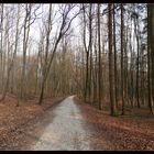 Waldweg St. Chrischona