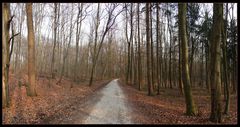 Waldweg St. Chrischona