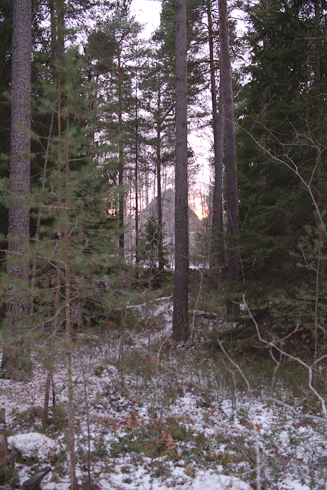 Waldweg zu den Pyramiden #8805