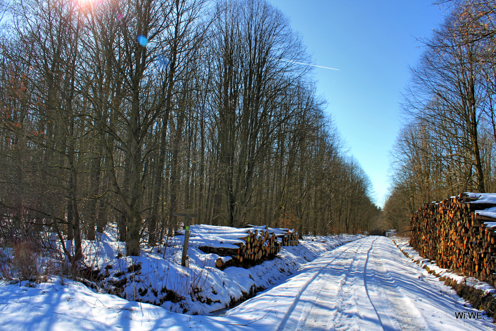 - Waldwege im Solling-