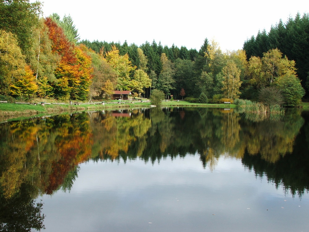 Waldweiher