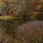 Waldweiher