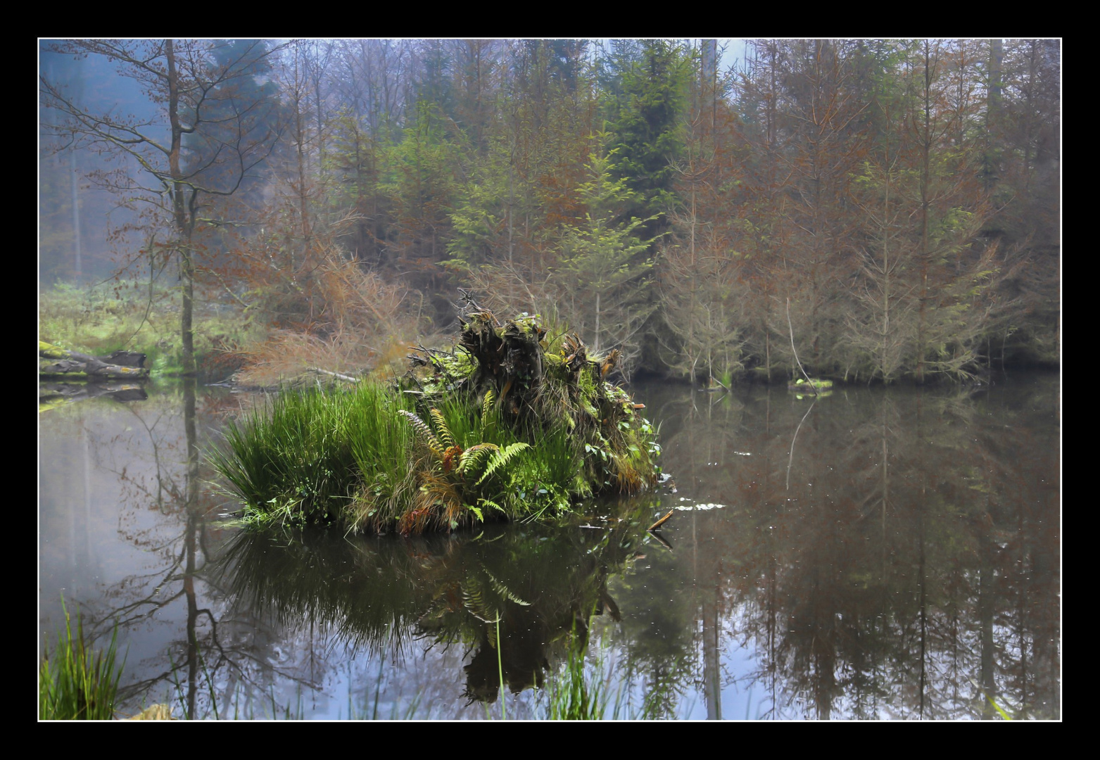 Waldweiher