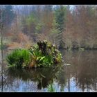 Waldweiher