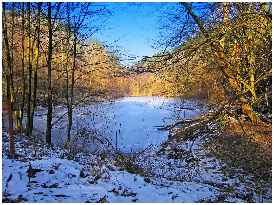 Waldweiher bei Eppelborn